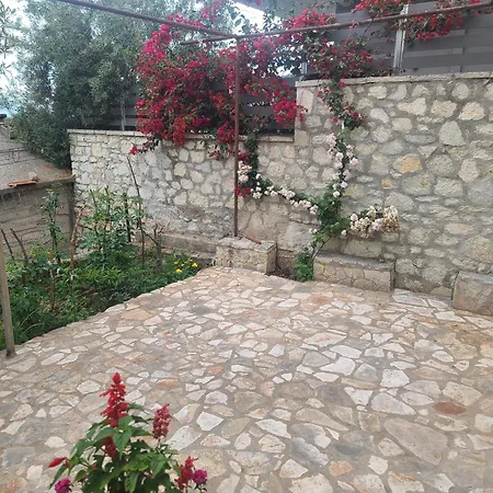 Hillside Garden